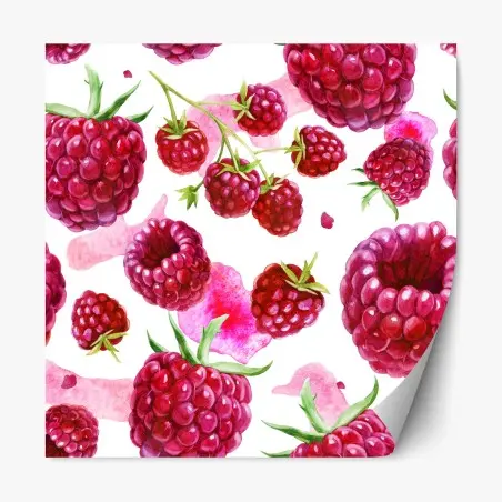 Pegatina reposicionable estampado de frambuesas en acuarela – Pixers®