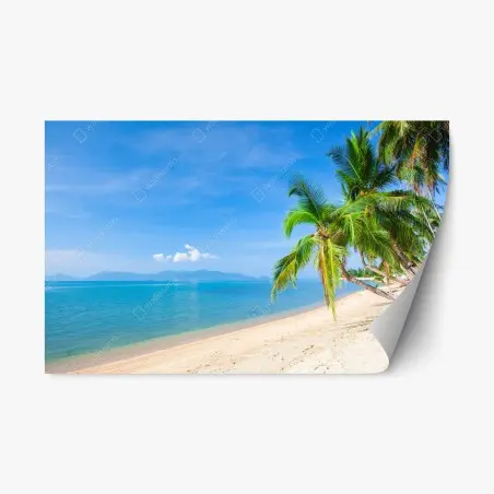 Pegatina reposicionable playa tropical con palmeras y mar turquesa – Pixers®