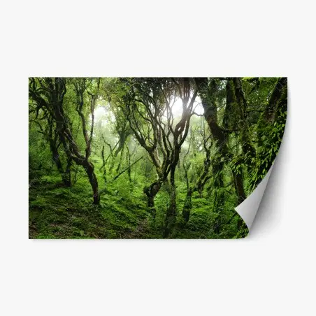 Pegatina reposicionable bosque místico de musgo y niebla – Pixers®