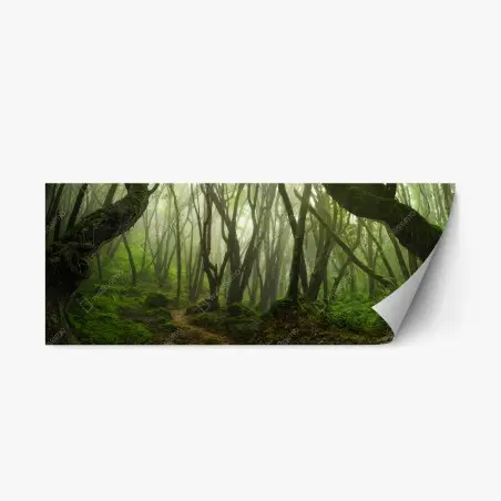 Pegatina reposicionable bosque encantado entre la niebla – Pixers®
