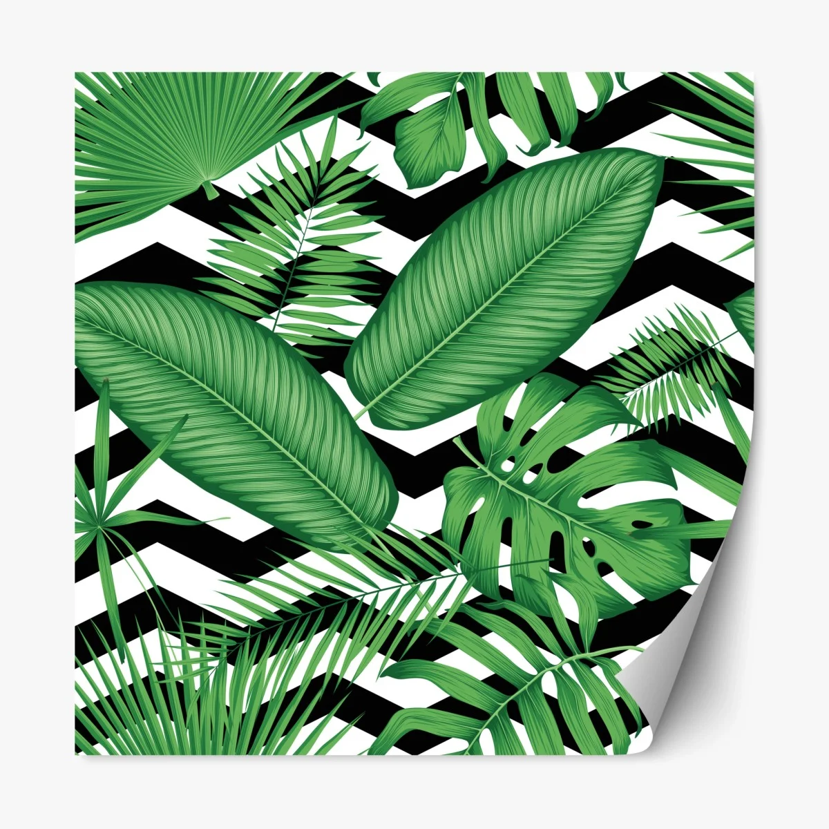 Pegatina reposicionable follaje tropical sobre patrón zigzag blanco y negro – Pixers® Pegatina reposicionable follaje tropical sobre patrón zigzag blanco y negro – Pixers®