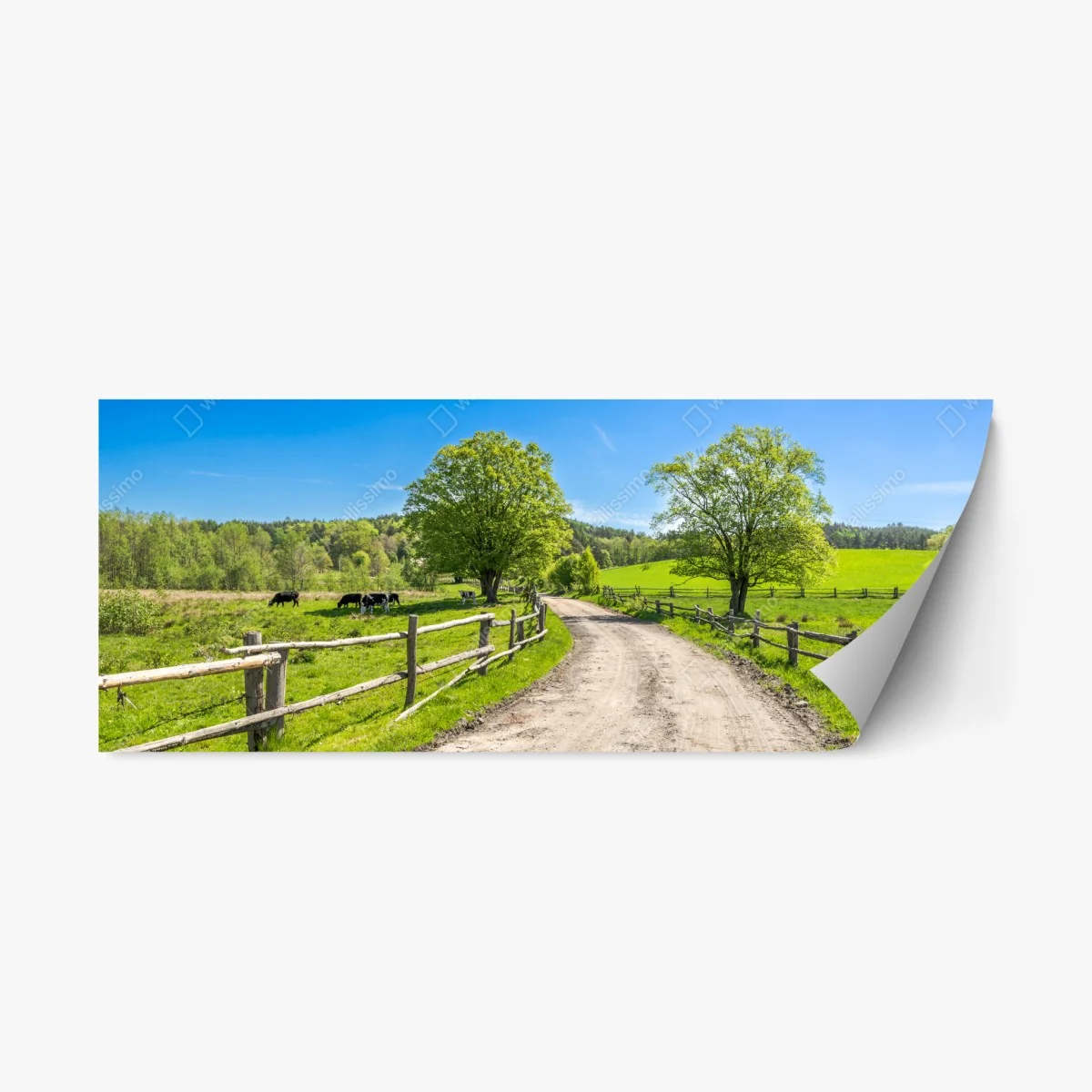 Pegatina reposicionable camino rural entre praderas verdes y vallas de madera – Pixers® Pegatina reposicionable camino rural entre praderas verdes y vallas de madera – Pixers®