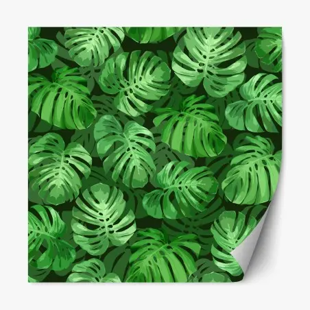 Pegatina reposicionable patrón tropical de hojas de monstera – Pixers®