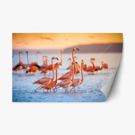 Pegatina reposicionable flamencos al atardecer sobre aguas tranquilas – Pixers®