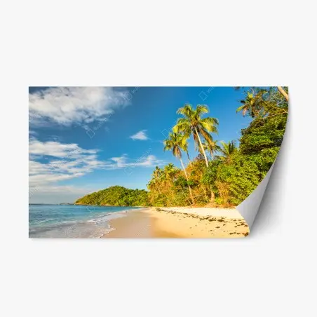 Pegatina reposicionable atardecer en playa tropical con palmeras – Pixers®