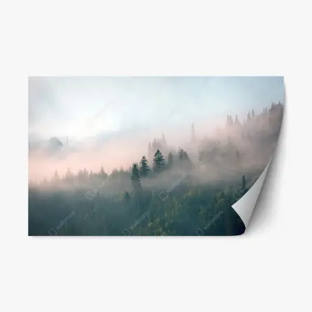 Pegatina reposicionable bosque envuelto en niebla al amanecer – Pixers®