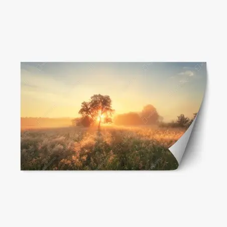 Pegatina reposicionable amanecer dorado en la pradera – Pixers®