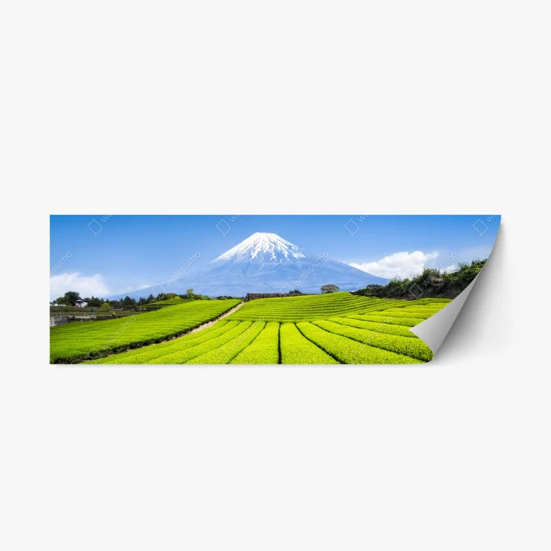 Pegatina reposicionable paisaje de campos de té con Monte Fuji al fondo