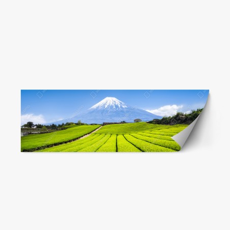 Pegatina reposicionable paisaje de campos de té con Monte Fuji al fondo – Pixers®
