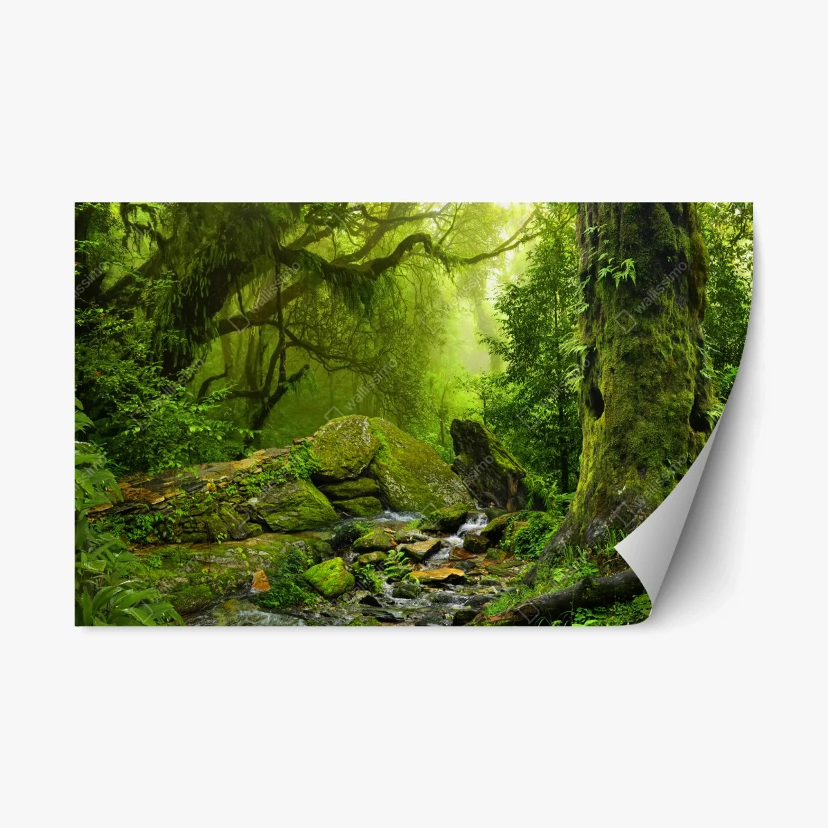 Pegatina reposicionable refugio verde en el bosque – Pixers® Pegatina reposicionable refugio verde en el bosque – Pixers®