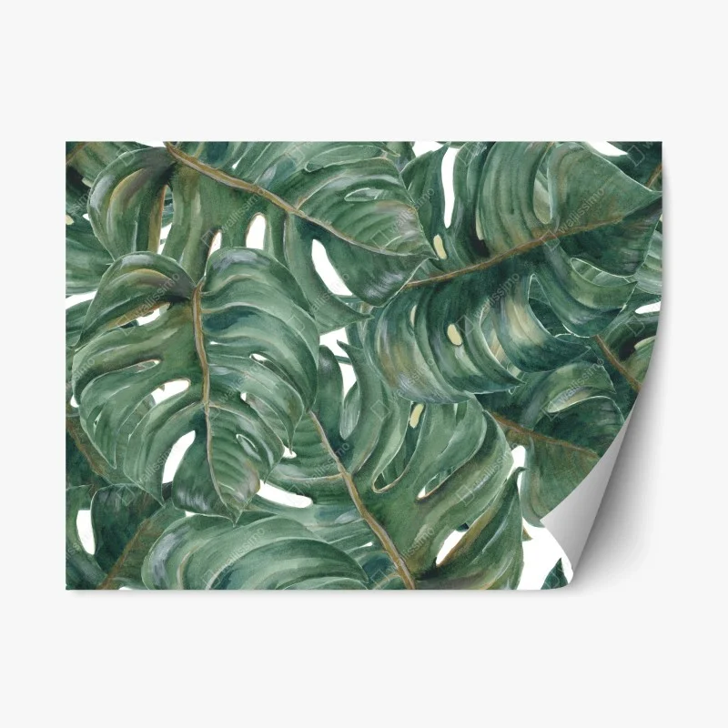 Pegatina reposicionable follaje tropical de hojas de monstera