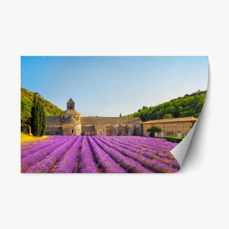 Pegatina reposicionable amanecer en la Abadía de Sénanque con campos de lavanda – Pixers®