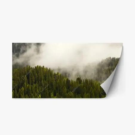 Pegatina reposicionable bosque nebuloso en tonos verdes – Pixers®
