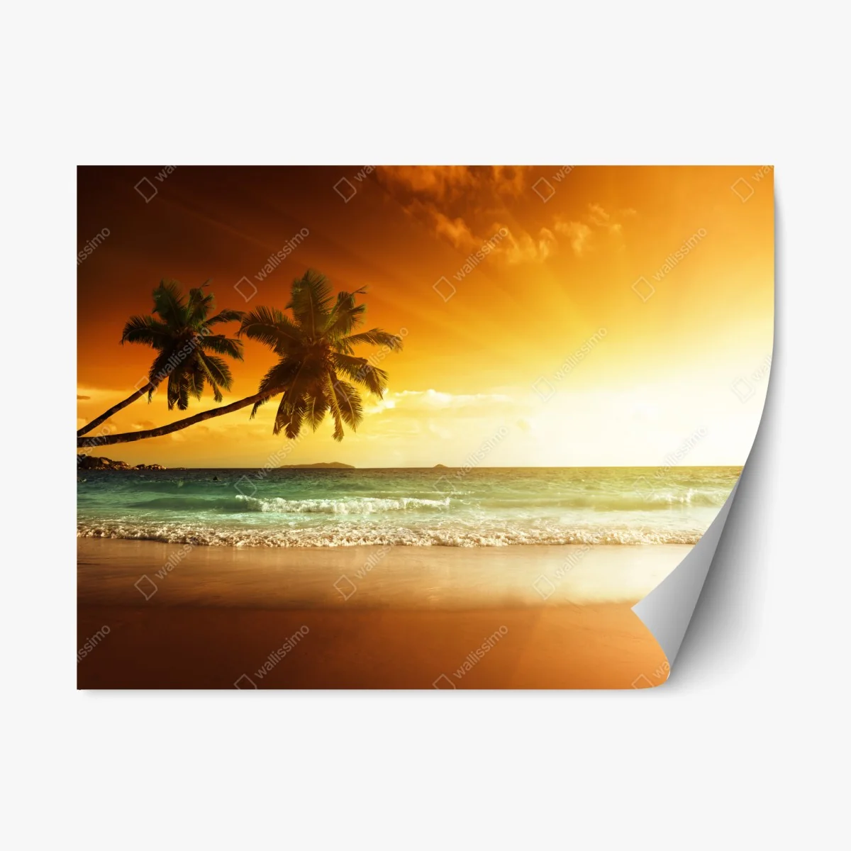 Pegatina reposicionable atardecer en la playa del Caribe – Pixers® Pegatina reposicionable atardecer en la playa del Caribe – Pixers®