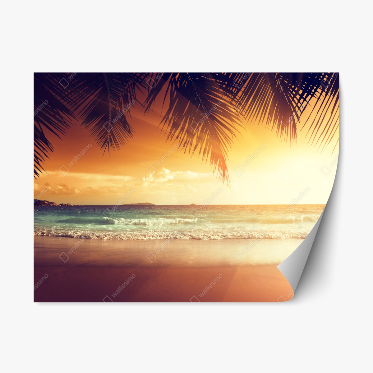 Pegatina reposicionable atardecer tropical en la orilla del Mar Caribe – Pixers®