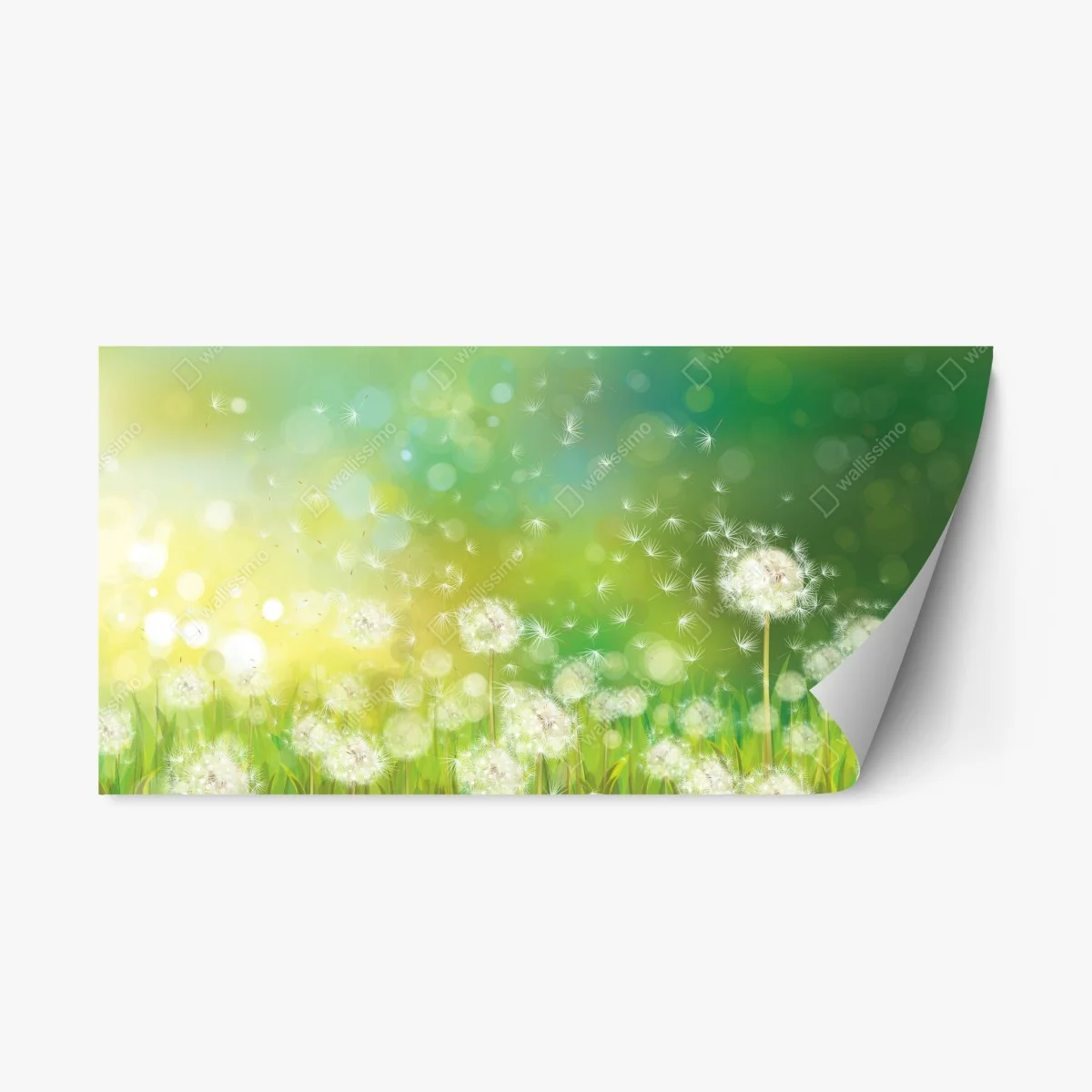 Pegatina reposicionable sueño de primavera con dientes de león – Pixers® Pegatina reposicionable sueño de primavera con dientes de león – Pixers®