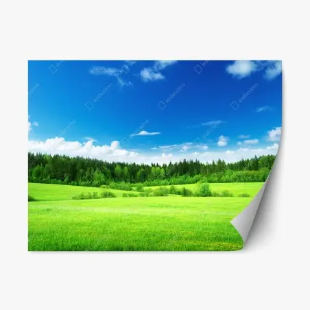 Pegatina reposicionable paisaje primaveral de pradera y bosque – Pixers®