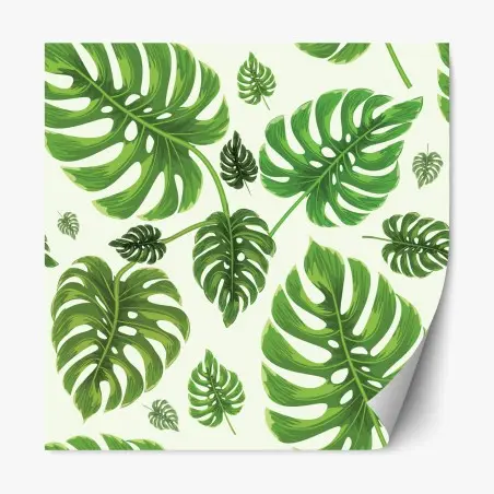 Pegatina reposicionable diseño tropical de hojas de monstera – Pixers®