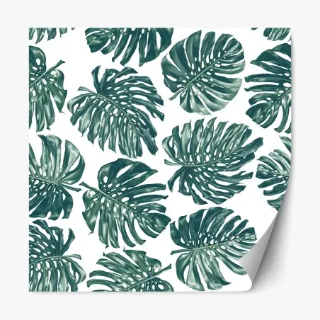 Pegatina reposicionable patrón tropical de hojas de monstera en verde – Pixers®