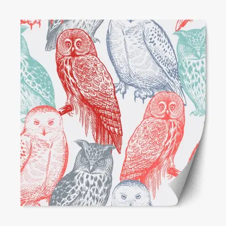 Pegatina reposicionable búhos ilustrados en estilo grabado multicolor – Pixers®