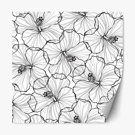 Pegatina reposicionable patrón botánico de hibiscos en blanco y negro – Pixers®