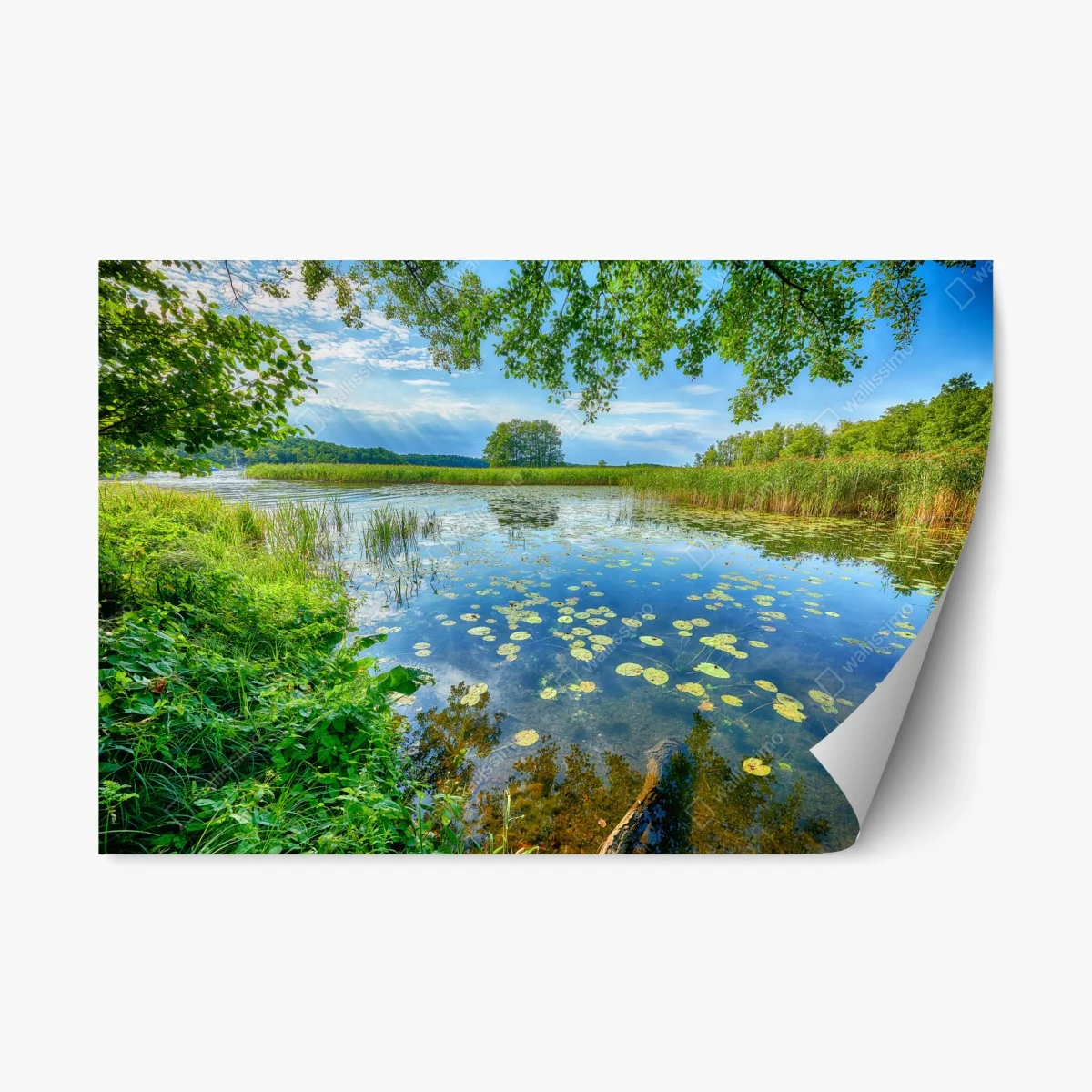 Pegatina reposicionable paisaje lacustre sereno en Masuria – Pixers® Pegatina reposicionable paisaje lacustre sereno en Masuria – Pixers®