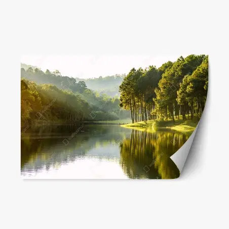 Pegatina reposicionable bosque de pinos junto al embalse al amanecer – Pixers®