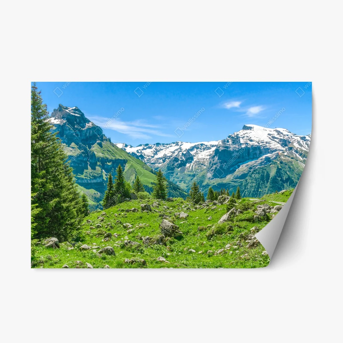 Pegatina reposicionable panorama alpino en Engelberg, Suiza – Pixers® Pegatina reposicionable panorama alpino en Engelberg, Suiza – Pixers®