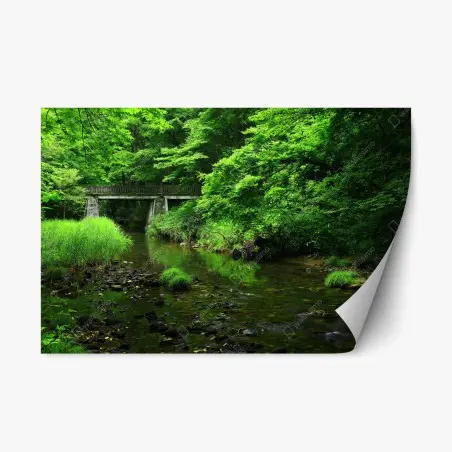 Pegatina reposicionable refugio verde junto al puente – Pixers®