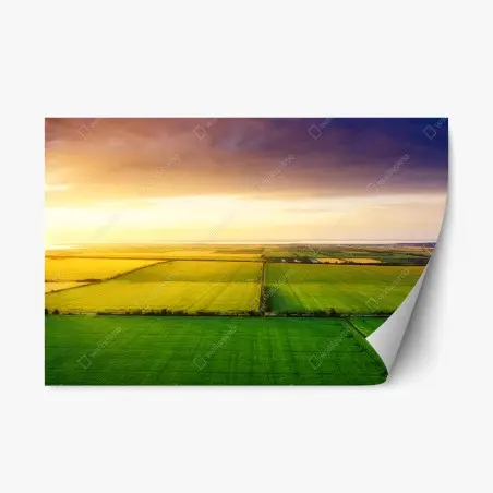 Pegatina reposicionable vistas aéreas de campos al atardecer – Pixers®