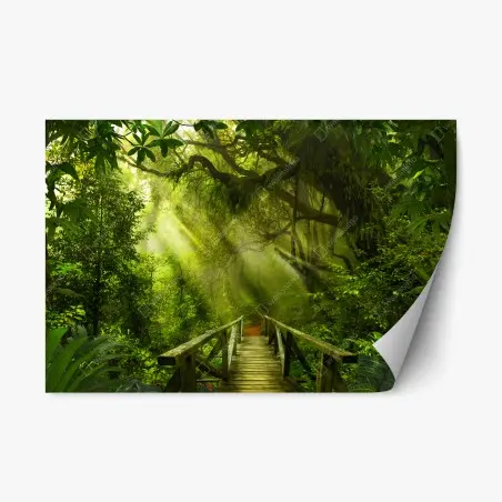 Pegatina reposicionable puente en la selva bañado por rayos de sol – Pixers®