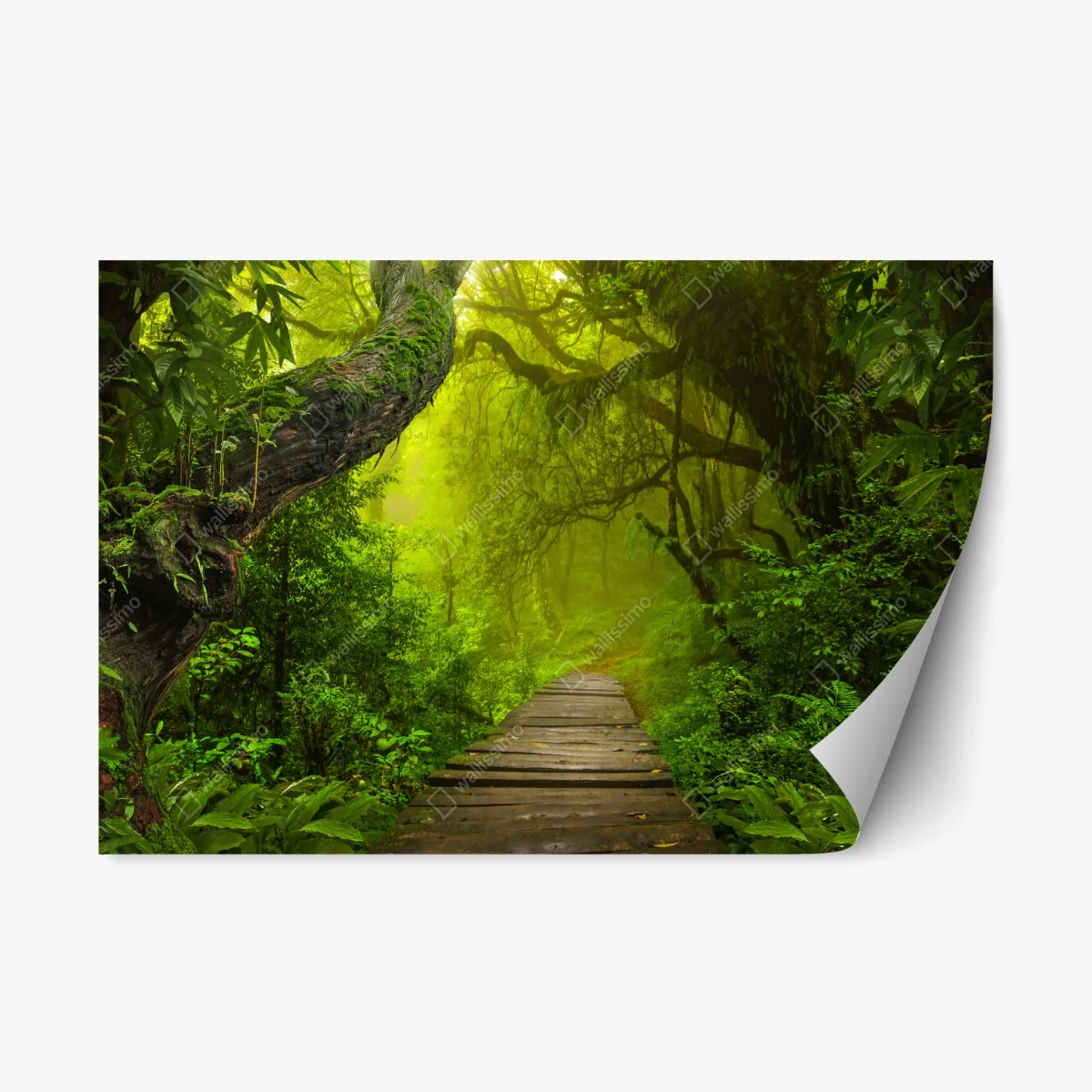 Pegatina reposicionable sendero místico en la selva verde – Pixers® Pegatina reposicionable sendero místico en la selva verde – Pixers®