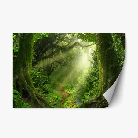 Pegatina reposicionable sendero luminoso en bosque encantado – Pixers®