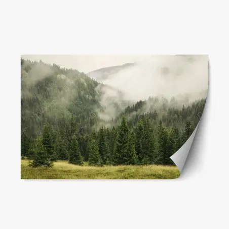 Pegatina reposicionable bosque de niebla entre montañas – Pixers®