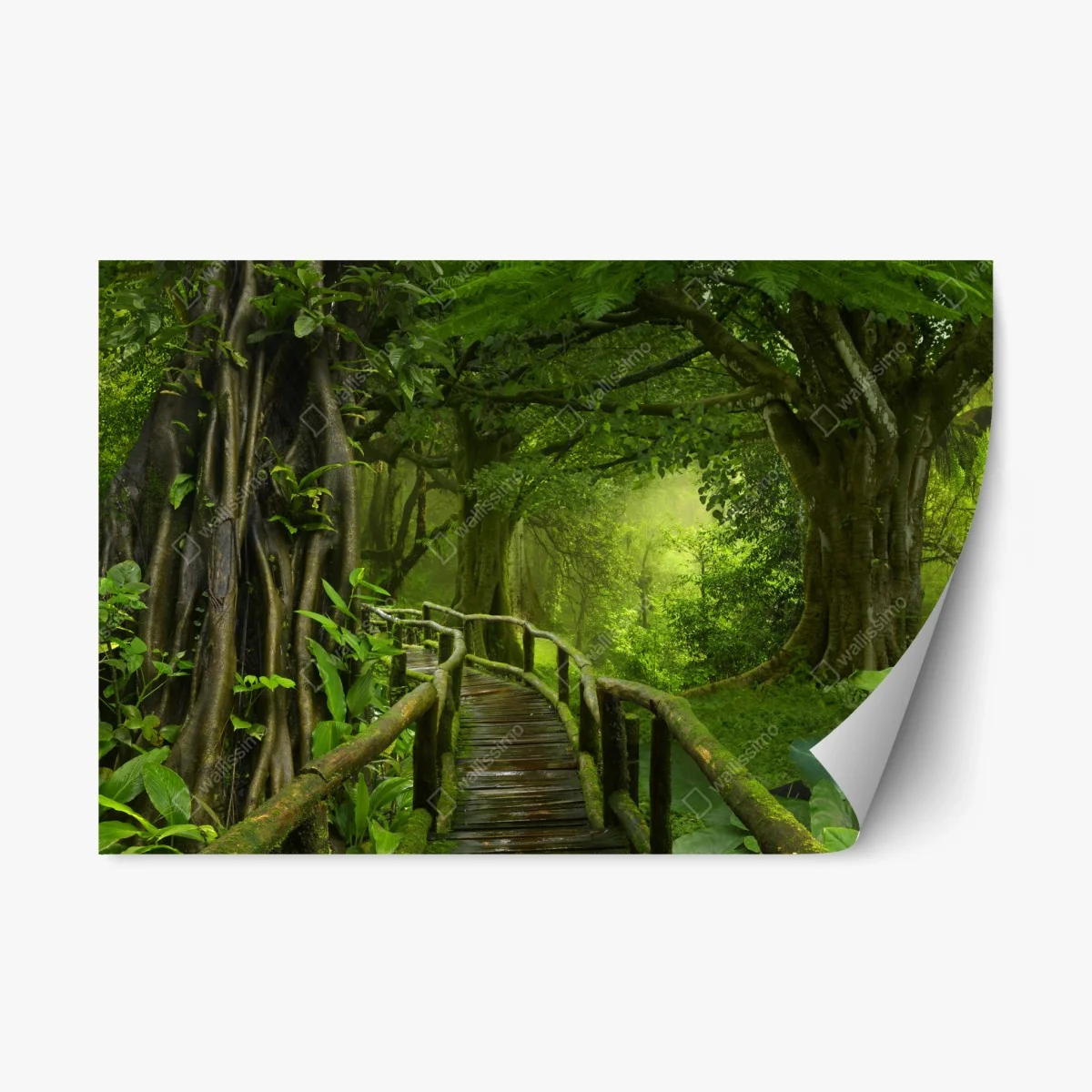 Pegatina reposicionable sendero místico en la selva tropical – Pixers® Pegatina reposicionable sendero místico en la selva tropical – Pixers®
