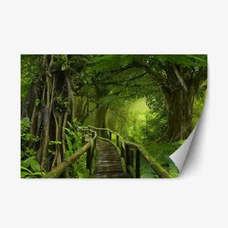 Pegatina reposicionable sendero místico en la selva tropical – Pixers®