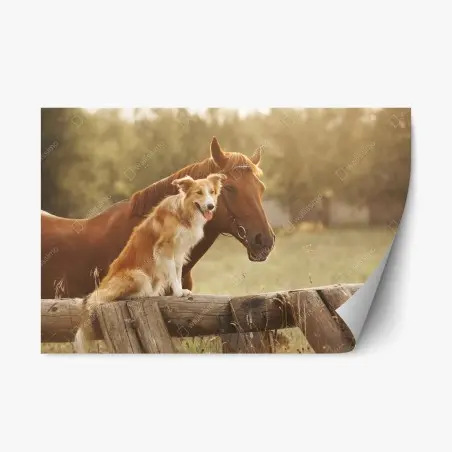 Pegatina reposicionable amistad campestre entre perro y caballo – Pixers®