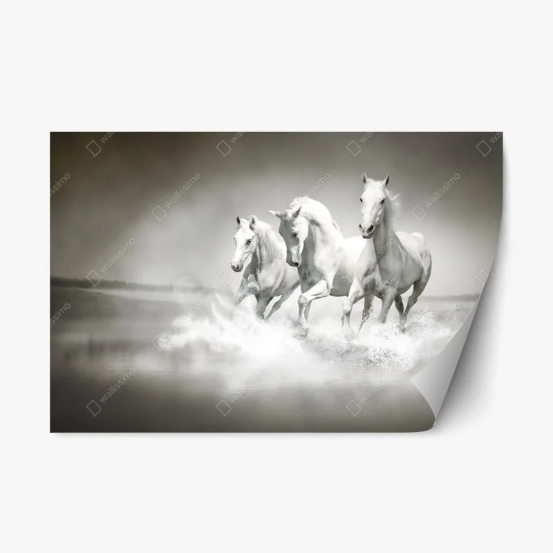 Pegatina reposicionable trío de caballos blancos galopando sobre el agua