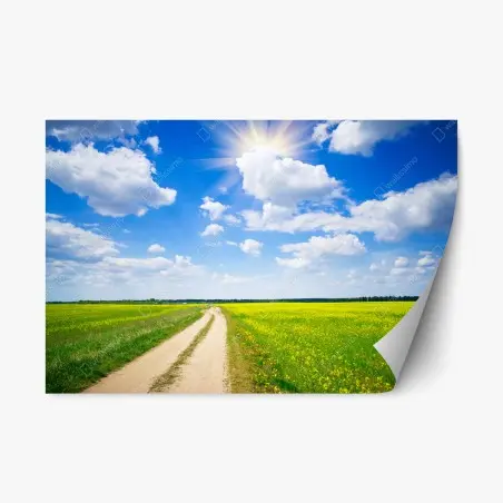 Pegatina reposicionable camino entre campos de colza bajo cielo azul – Pixers®