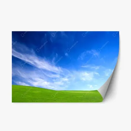 Pegatina reposicionable pradera bajo cielo azul – Pixers®