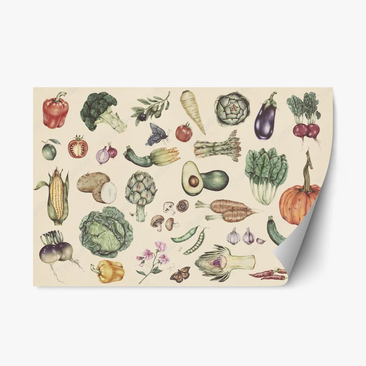 Pegatina reposicionable patrón botánico de verduras dibujadas a mano – Pixers® Pegatina reposicionable patrón botánico de verduras dibujadas a mano – Pixers®