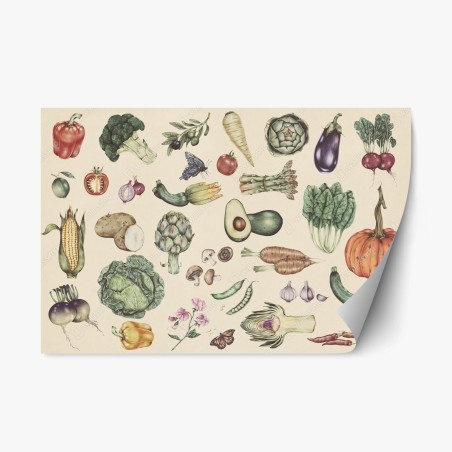 Pegatina reposicionable patrón botánico de verduras dibujadas a mano – Pixers®