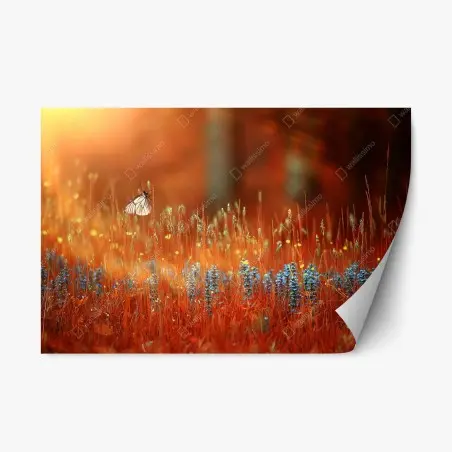 Pegatina reposicionable amanecer dorado con mariposa en pradera – Pixers®