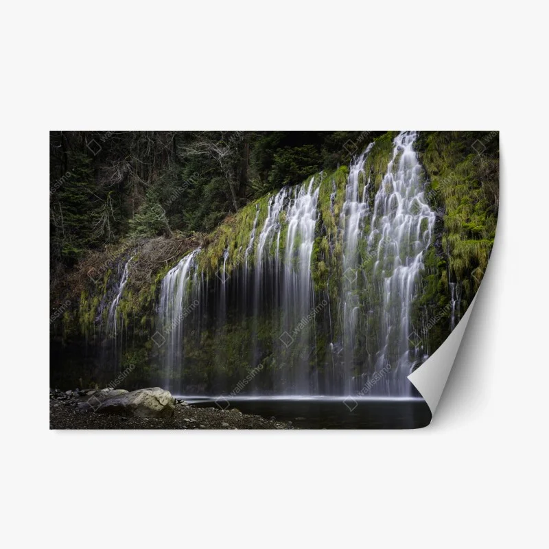 Pegatina reposicionable cascada de cortina en bosque musgoso