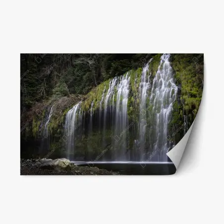 Pegatina reposicionable cascada de cortina en bosque musgoso – Pixers®