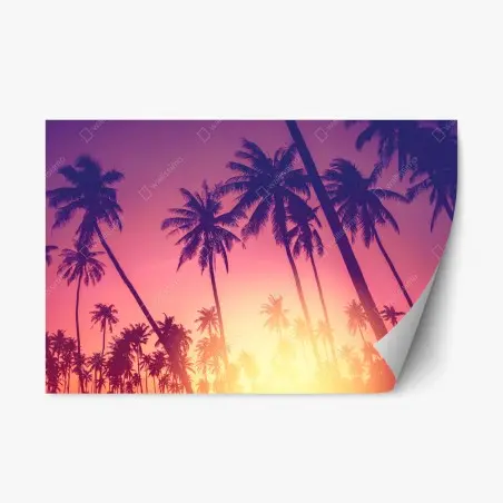 Pegatina reposicionable siluetas de palmeras al atardecer – Pixers®