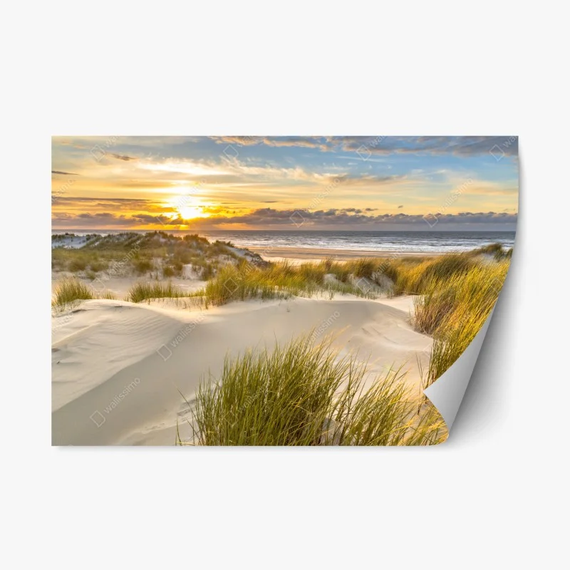Pegatina reposicionable atardecer dorado en las dunas de Ameland