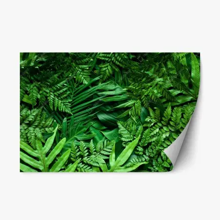Pegatina reposicionable follaje tropical exuberante en tonos verdes – Pixers®