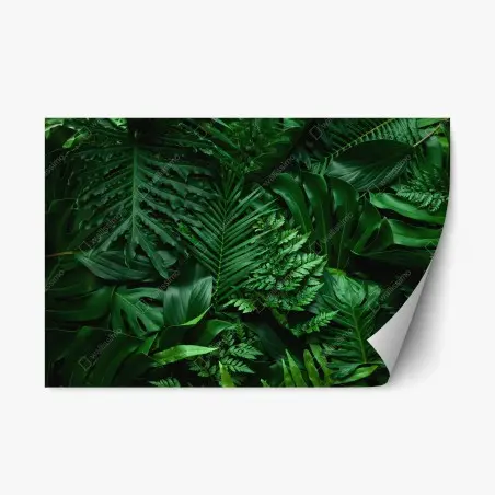 Pegatina reposicionable hojas tropicales en verde profundo – Pixers®