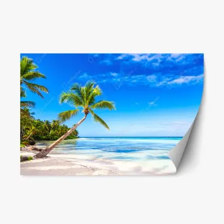 Pegatina reposicionable playa tropical con palmera inclinada – Pixers®